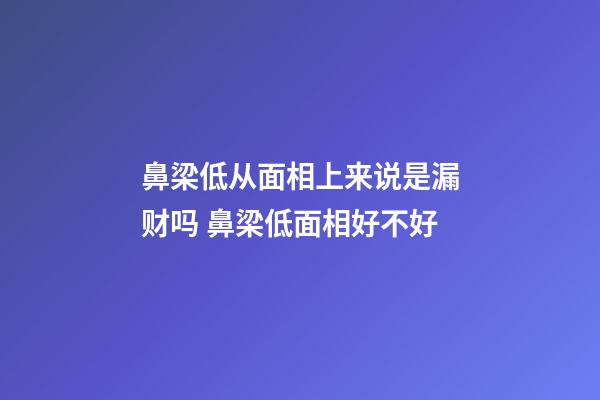 鼻梁低从面相上来说是漏财吗 鼻梁低面相好不好